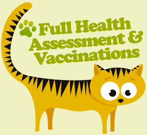 Full health assessment and vaccinations for your dog or cat in Claremorris, County Mayo