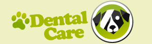 Dental care for your dog or cat in County Mayo